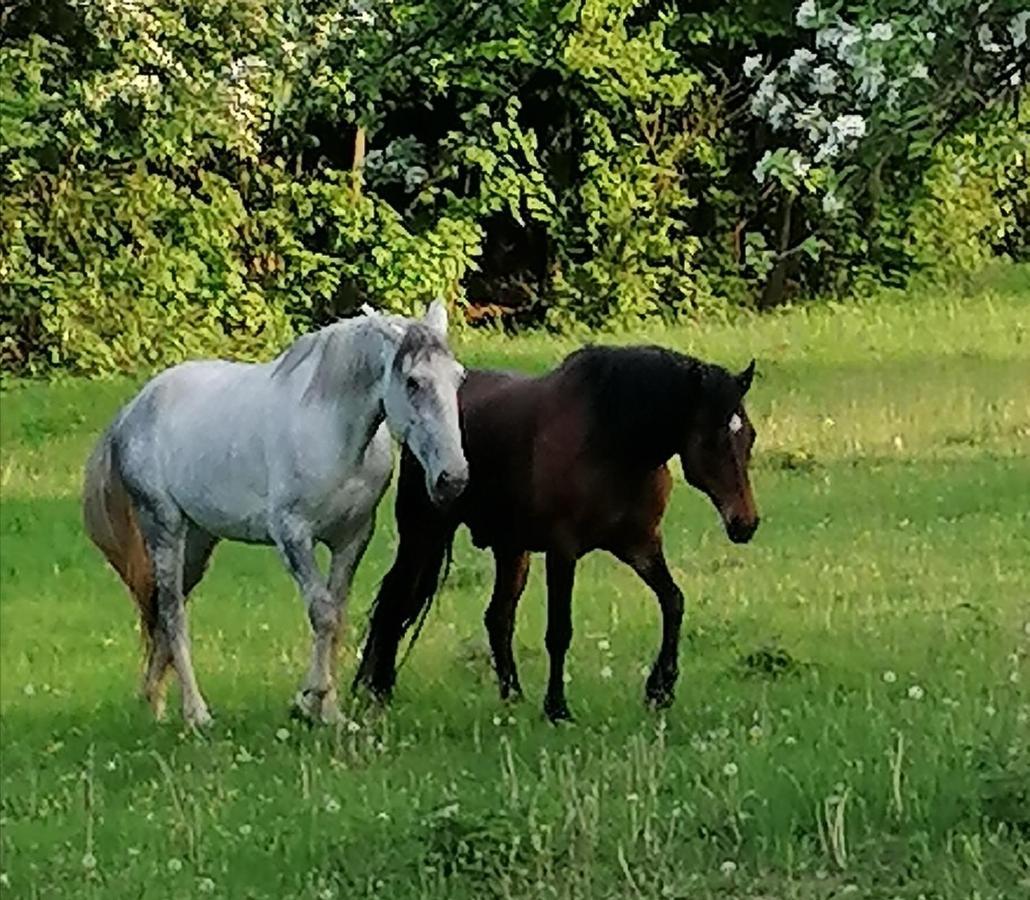 Chaloupka U Montyho Villa Vavrinec  Luaran gambar